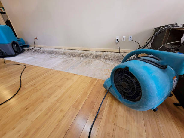 Professional Water Damage Repair technician working in Utah, UT
